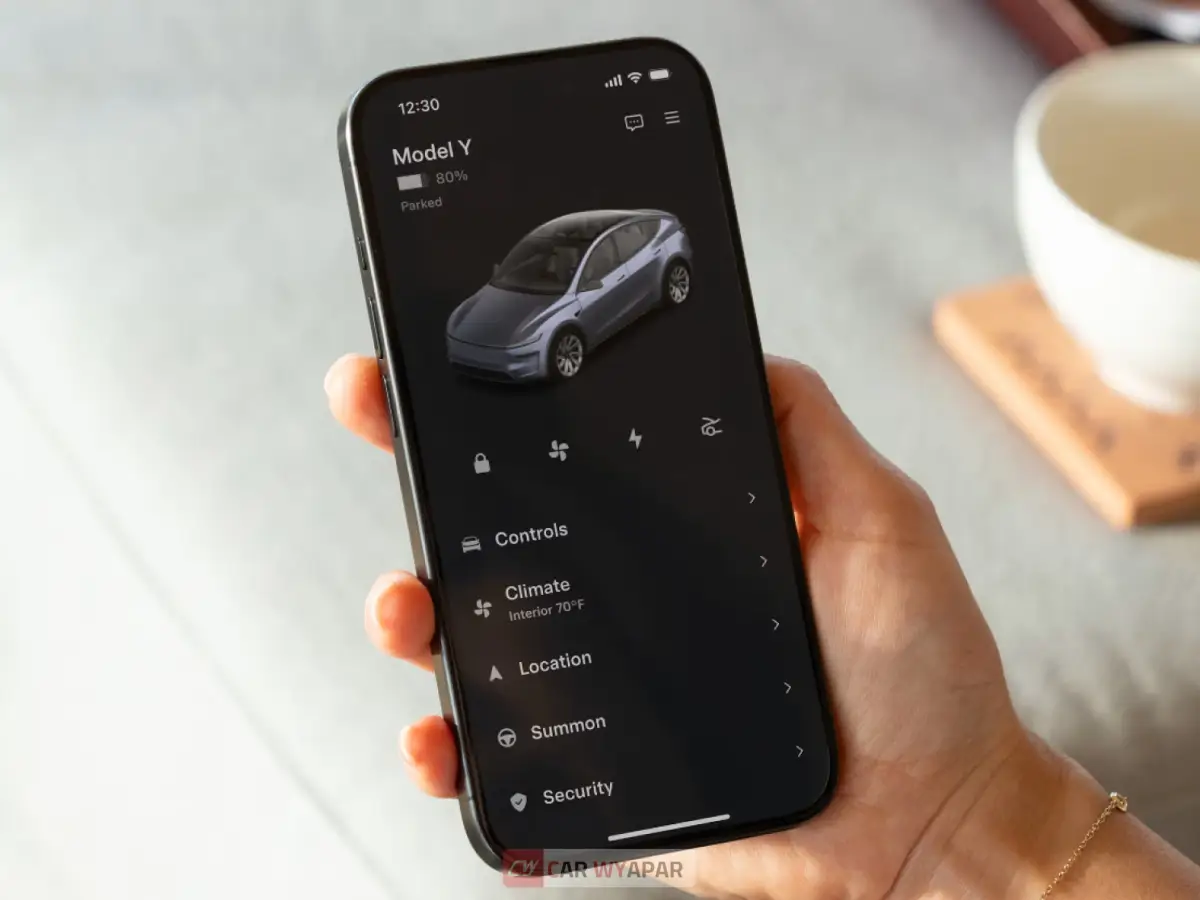 Tesla Model Y Top Feature